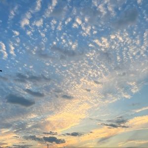 Meet your Posher, Rania